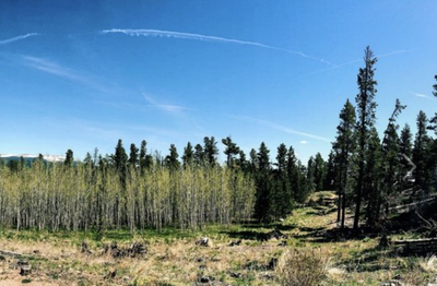 East Magnolia Trails