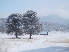 Elk Meadow Park