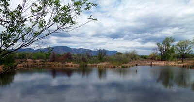 Fountain Creek Regional Park