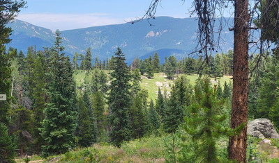 Grass Creek Trail