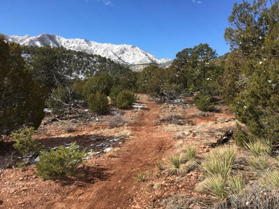 Hard Time Trail, Temple Canyon