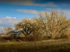 Hildebrand Ranch Park Hildebrand Ranch Park
