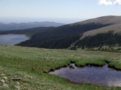 IPW - Niwot Mountain
