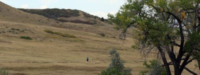 Leyden Creek Trail (Lower) Pattridge Park