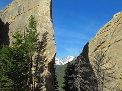 Lily Mountain