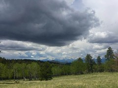 Lion Canyon Trail