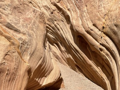 Little Wild Horse & Bell Canyon, San Rafael Swell, Utah