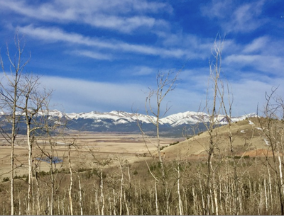 Pueblo Mtn Park - Mace Trail