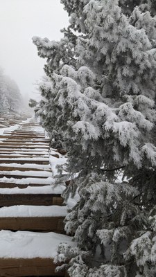 Manitou Incline