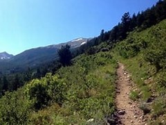 Mt. Harvard