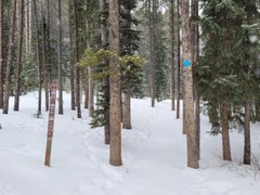 Peaks Trail: Frisco - Breckenridge Peaks Trail: Frisco - Breckenridge