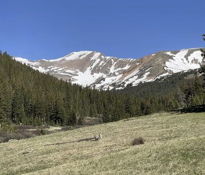 Pettingell Peak Pettingell Peak