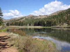 Pine Valley Ranch Park