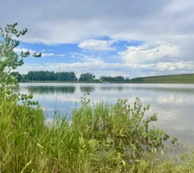 Pineridge Natural Area, Fort Collins