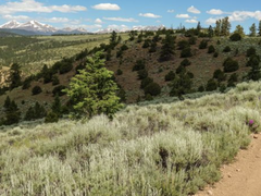 Rainbow Trail, Sangre de Cristo Wilderness