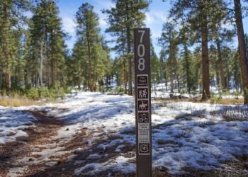 Red Rocks Trail #708