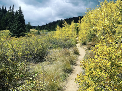 Rich Creek/Tumble Creek Loop
