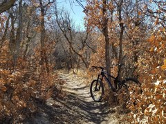 Ridgeline Open Space Park