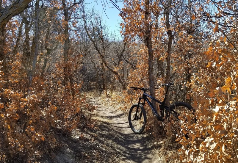 Ridgeline Open Space Park — The Colorado Mountain Club