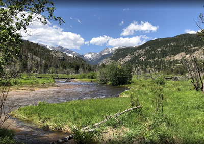 RMNP - Cub Lake TH
