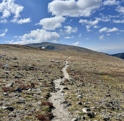 RMNP - Mount Ida