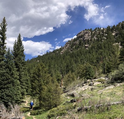 RMNP - West Creek Falls from Cow Creek TH