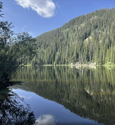 Beaver Lake