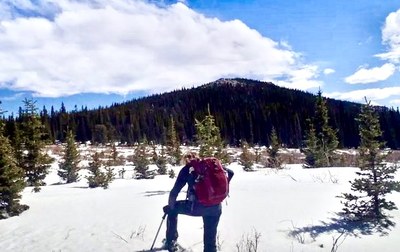 Royal Mountain