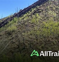 Shearer Creek Trail