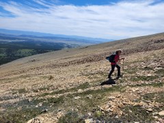 Sheep Mountain
