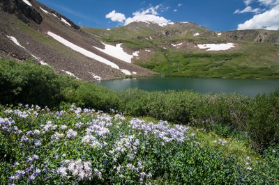 Silver Dollar Lake Trail