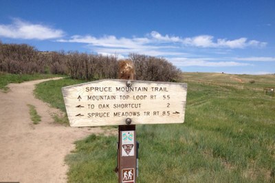 Spruce Mountain Trail
