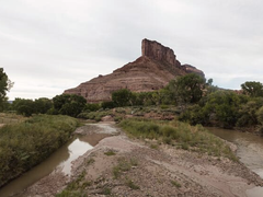 The Palisade