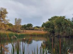 Two Ponds National Wildlife Refuge