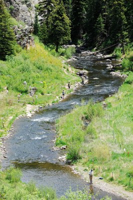 Upper Yampa River