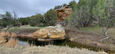 Vogel Canyon Spring.jpg Vogel Canyon Spring.jpg
