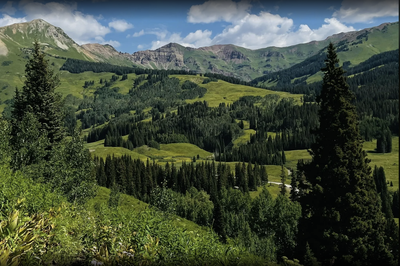 Washington Gulch