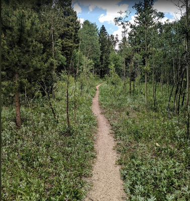 West Magnolia Trails