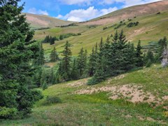 Woods Mountain