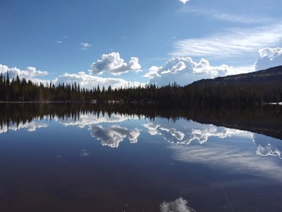 Zimmerman Lake TH