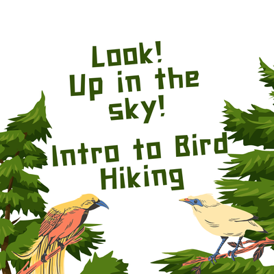 Speaker Series: Intro to Bird Hiking with Norm Lewis – AMC - Conf Room B