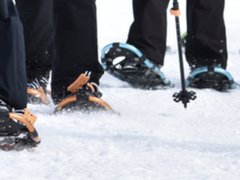 Beginner Snowshoe School - 2026