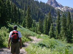 Intro to Hiking Safety - Denver - May 2024