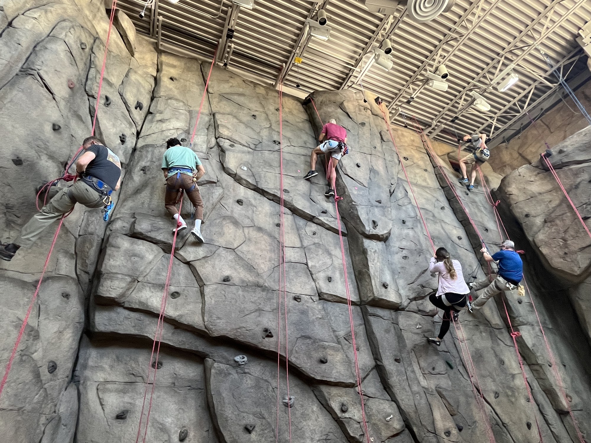 TCS Single Pitch Rock Rescue - Denver - 2025 — The Colorado Mountain Club