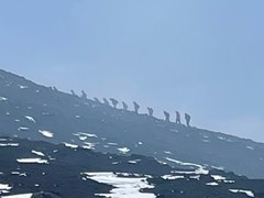 Ascending Hikes – Endurance Clinic
