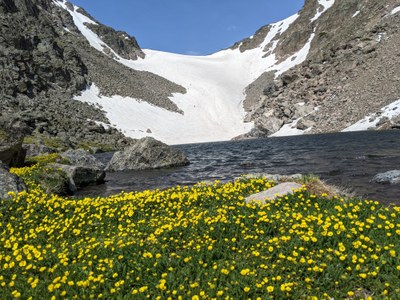 NoCo ASC - Optional Scrambling Trip – Andrew's Glacier NoCo ASC - Optional Scrambling Trip – Andrew's Glacier