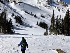 Introduction to Backcountry Nordic Skiing - 2026 Northern Colorado