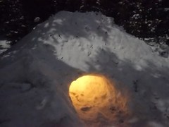 PPG Winter Wilderness Survival - 2026