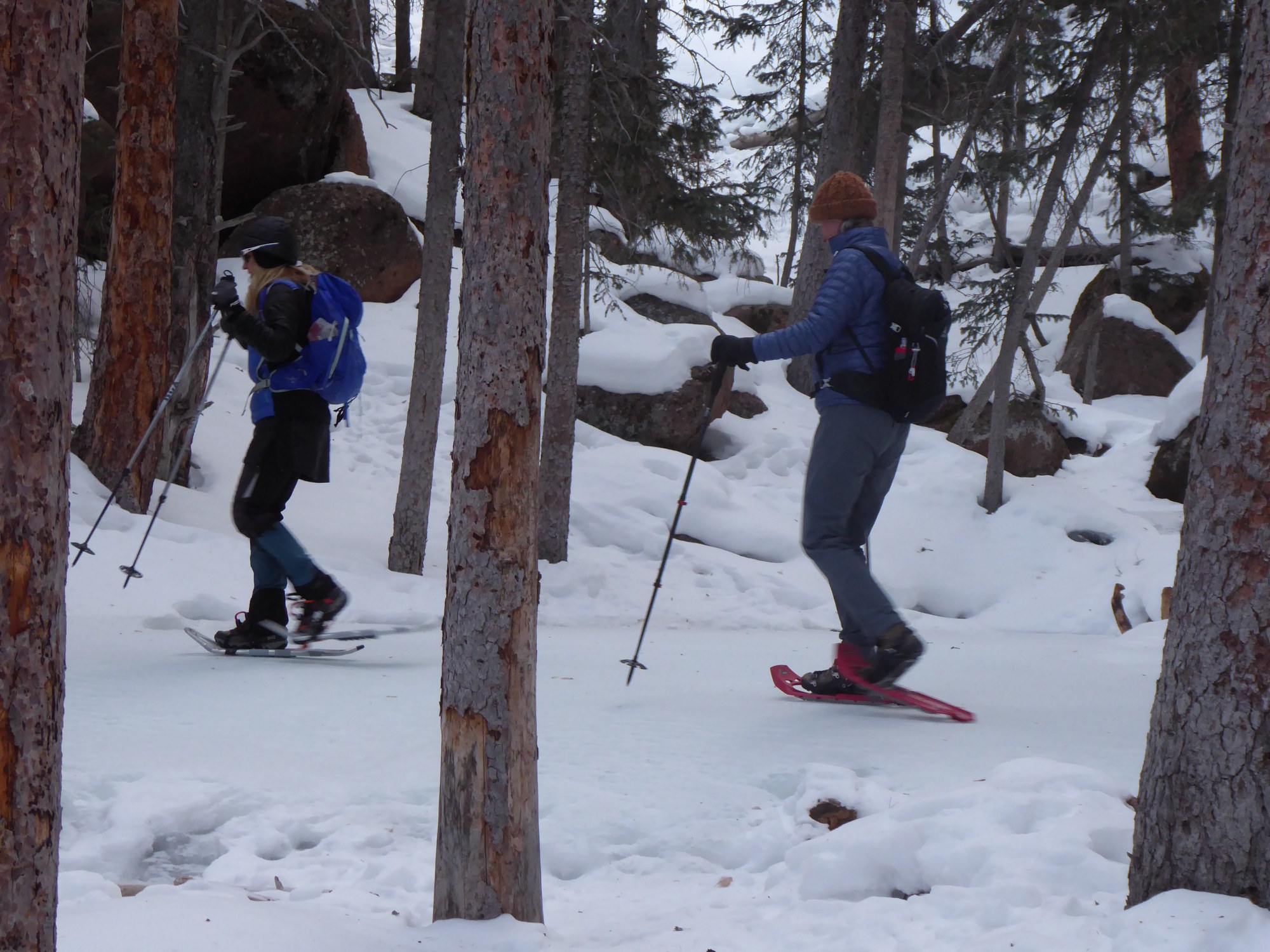 Pikes Peak Snowshoe Basics Class Pikes Peak Group 2023 — The Colorado Mountain Club