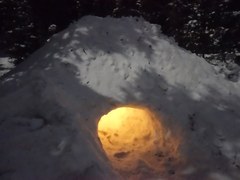 Winter Wilderness Survival - Pikes Peak - 2024